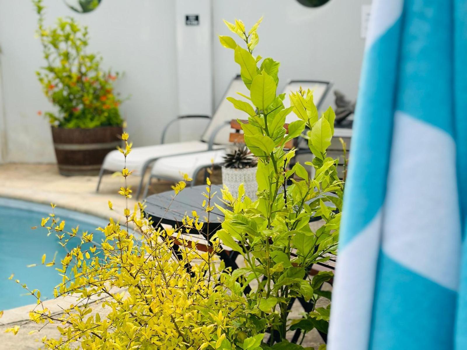 Villa Da Graca - Homecooked Meals On Arrangement มอสเซิลเบย์ ภายนอก รูปภาพ